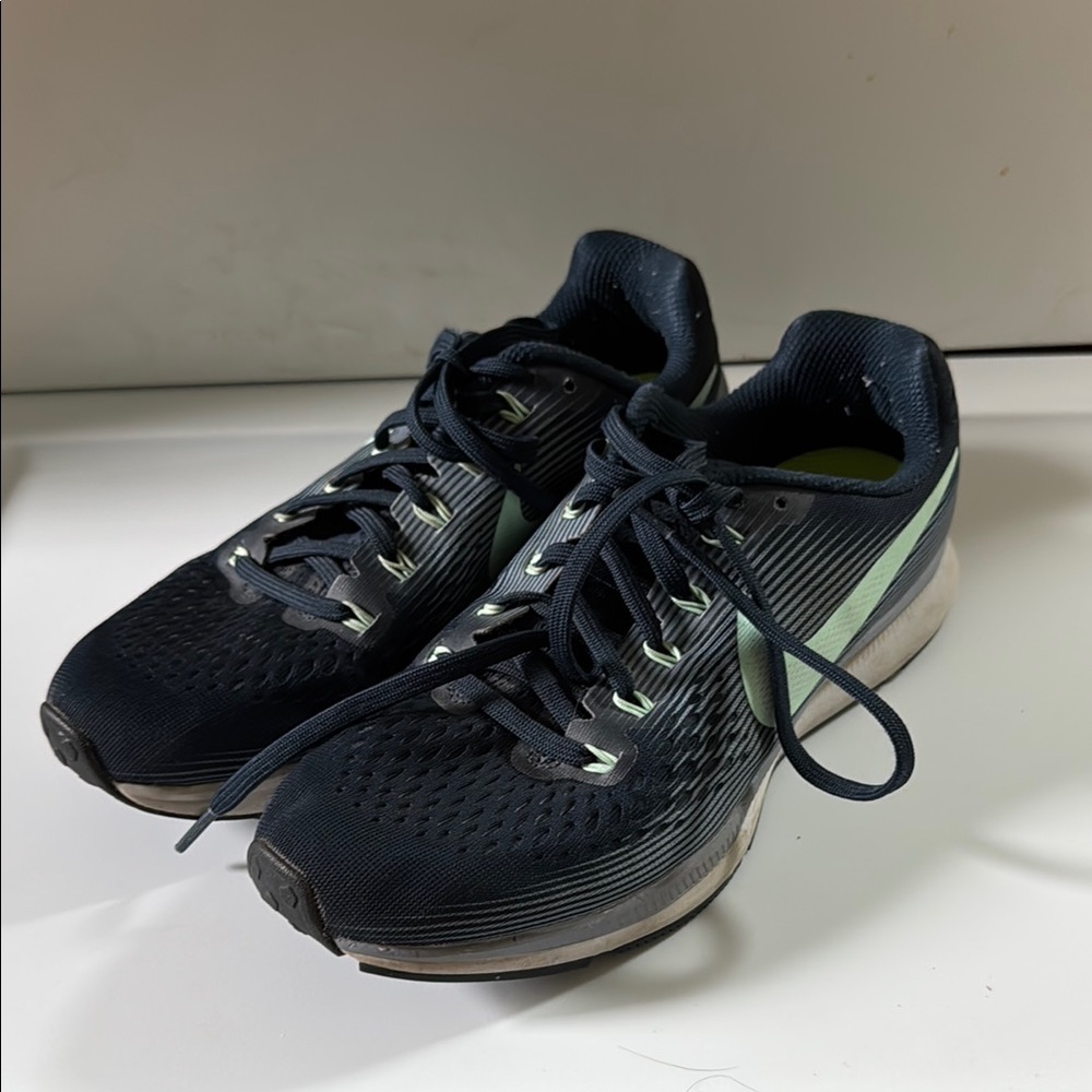 Nike Zoom Pegasus 34